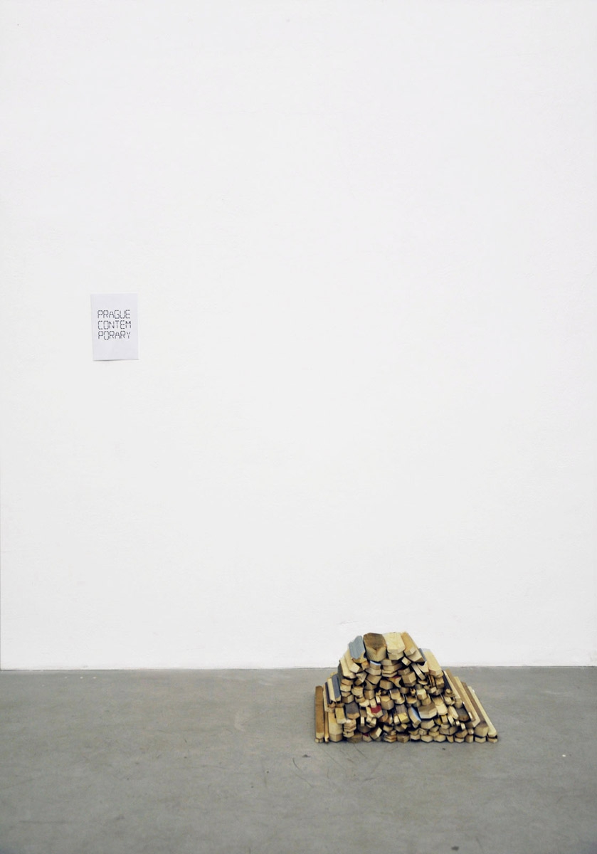petr-dub-prague-contemporary_0